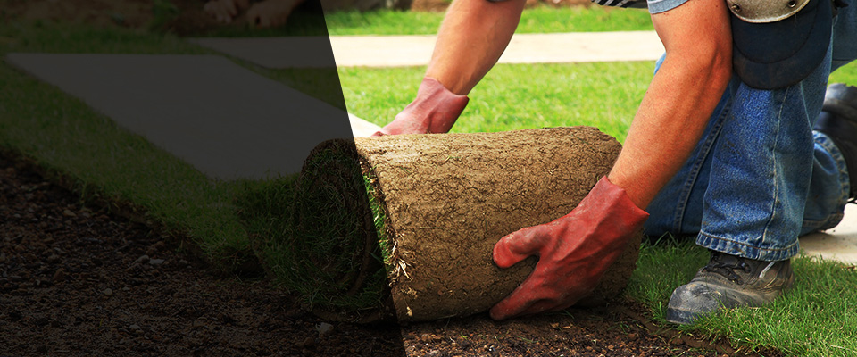 Blauvelt Landscapers